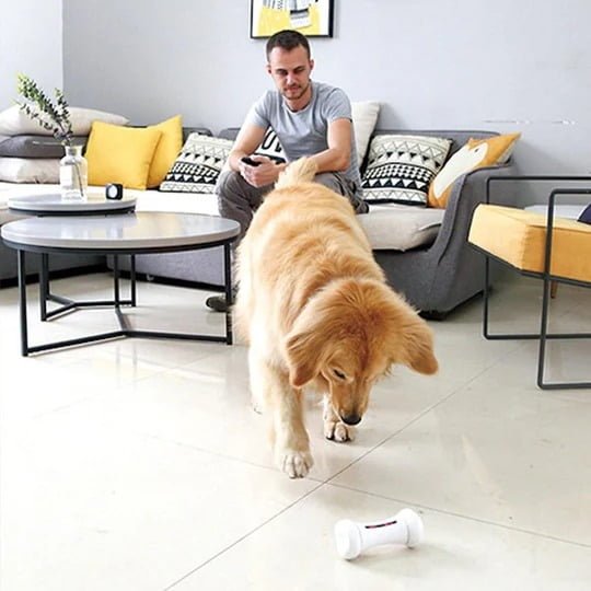 Smart Home Gadgets for pets